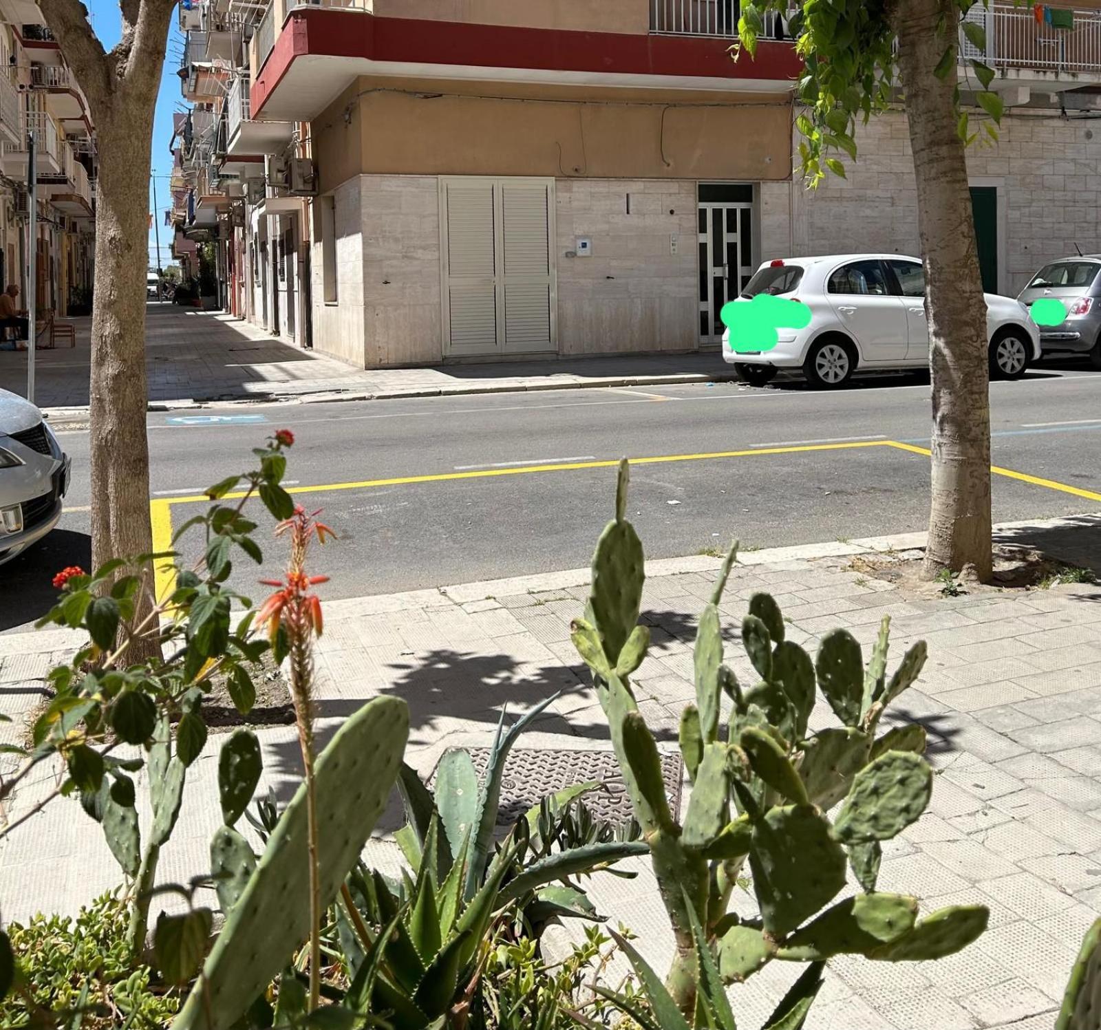 Appartamento Centralissimo Zona Terme Margherita Di Savoia Eksteriør billede